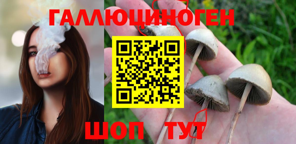 Галлюциногенные грибы мухоморы  Галлюциногенные грибы Cubensis  Черняховск  Вход с VPN 